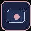 Skrill icon